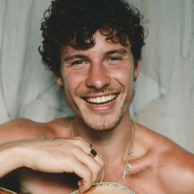 shawn mendes