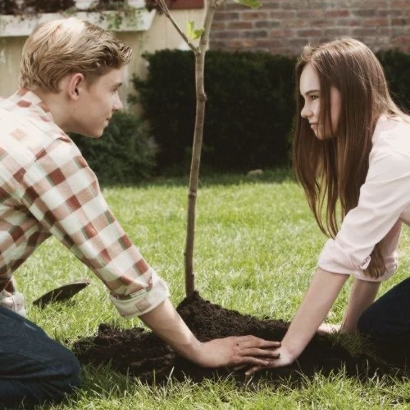 Flipped - Rob Reiner · 2010