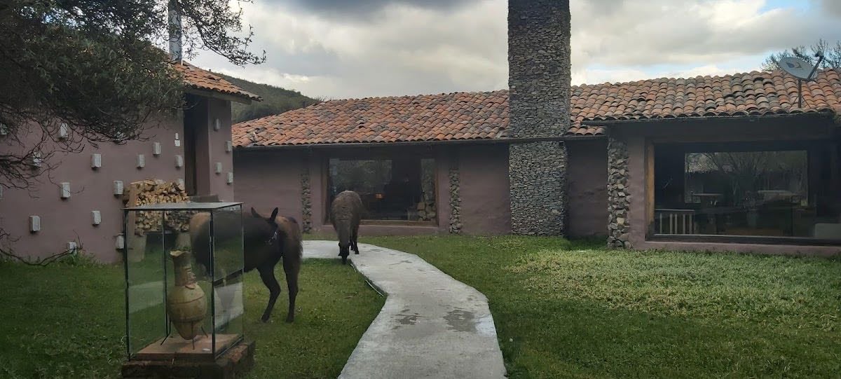 Polylepis Lodge