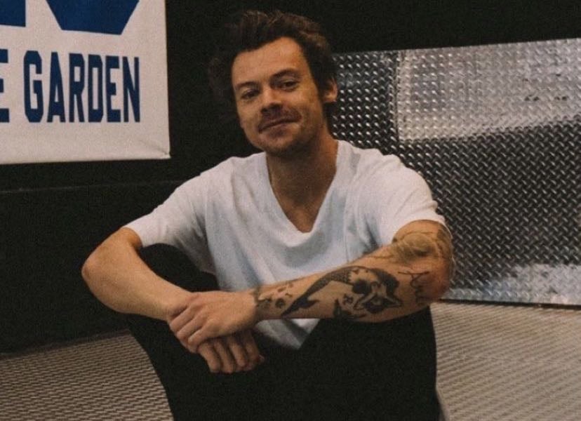 Harry Songs I Need To Hear Live - Music hypelist by Taylor Kleismit