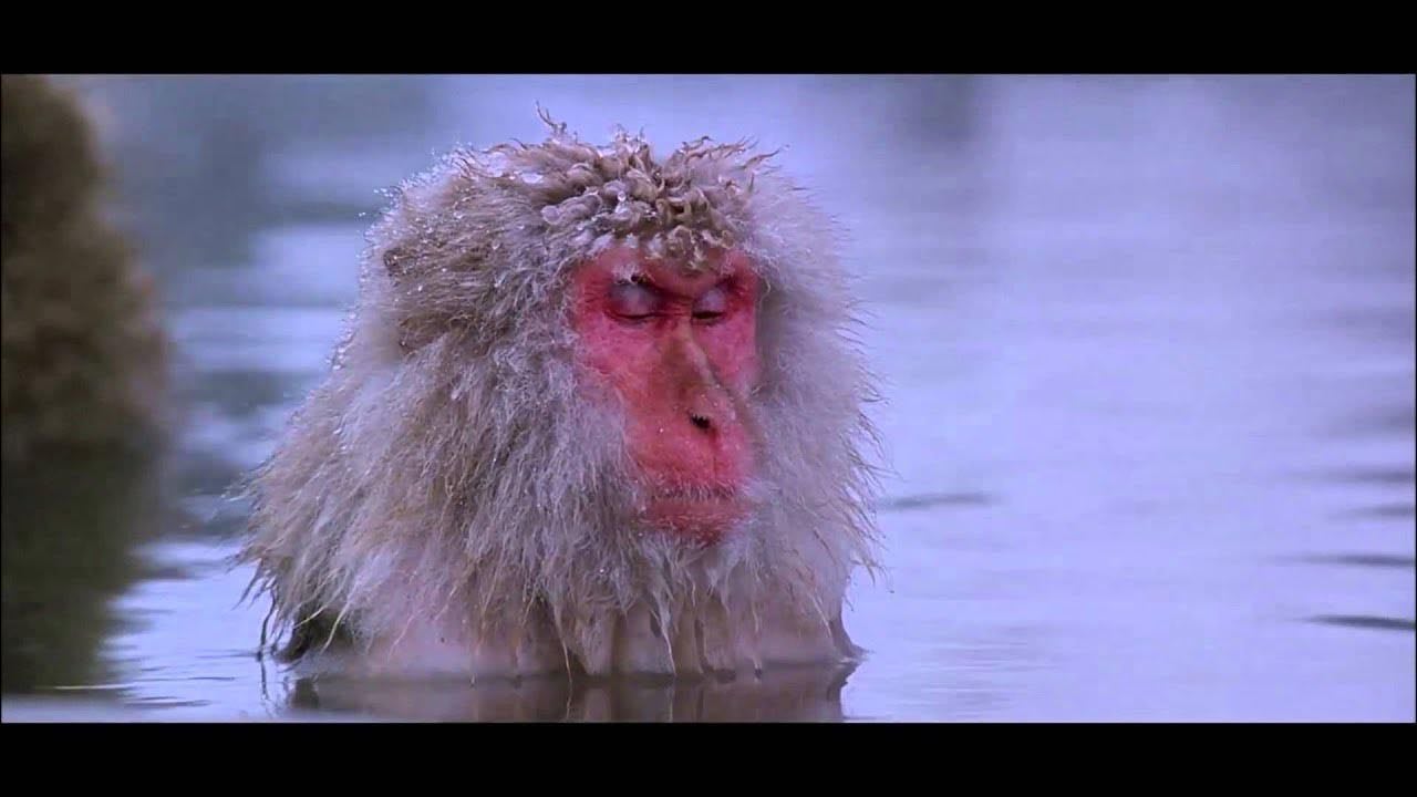 Aphex Twin - Stone In Focus - YouTube