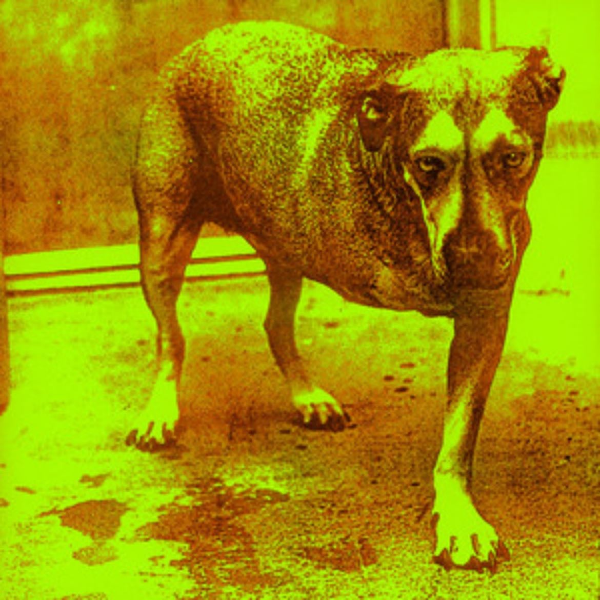 Alice In Chains - Album • Alice In Chains