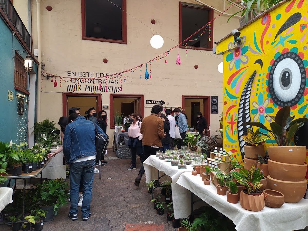 Bazar Fusion - Un buen lugar para pasar el rato y comprar regalitos