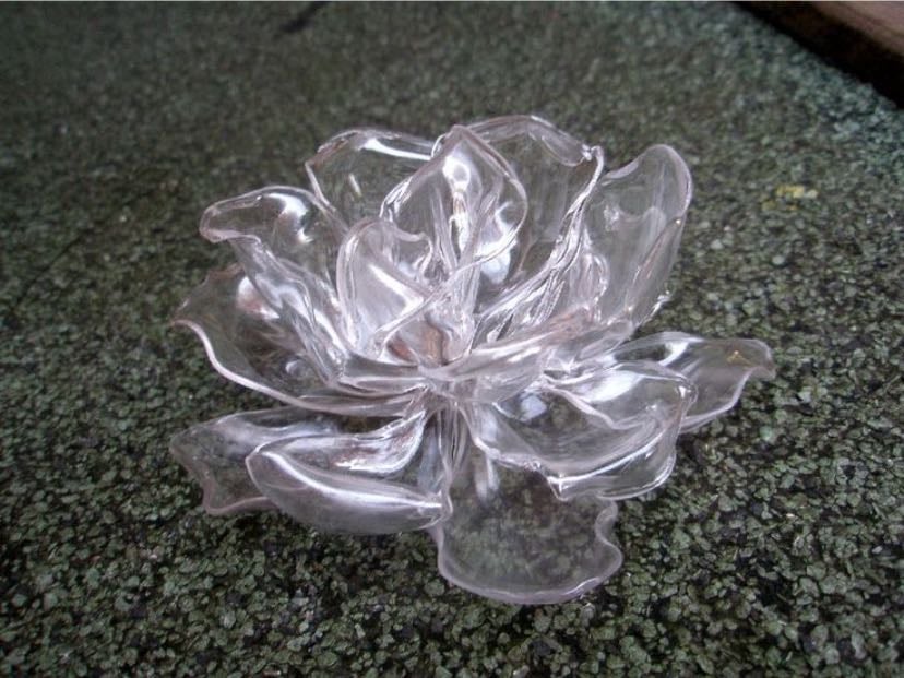 plastic roses ♡
