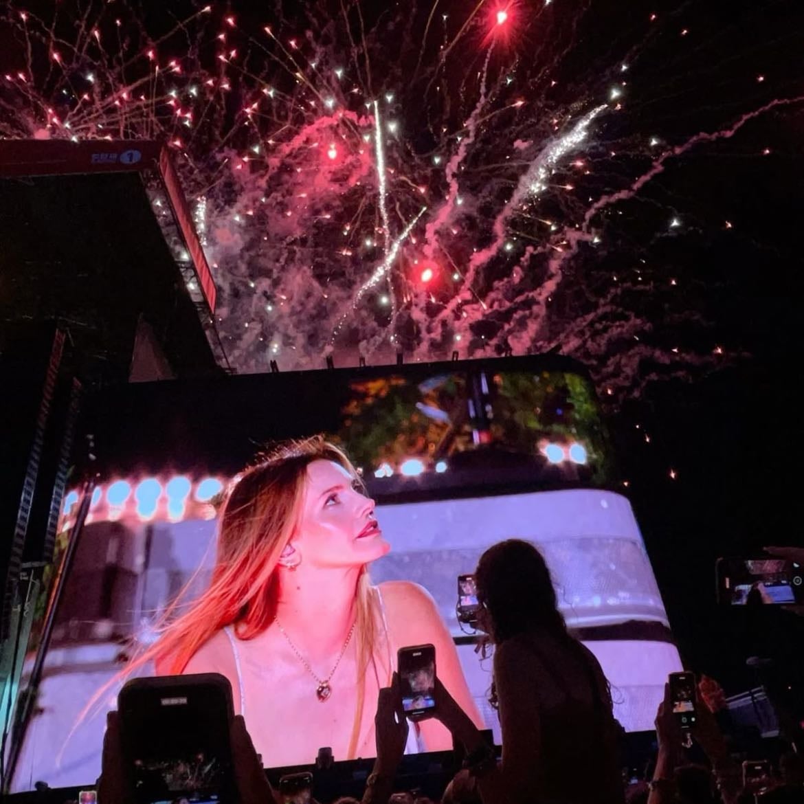 Ir a un concierto de Lana del Rey - conocerla sería lo mejor