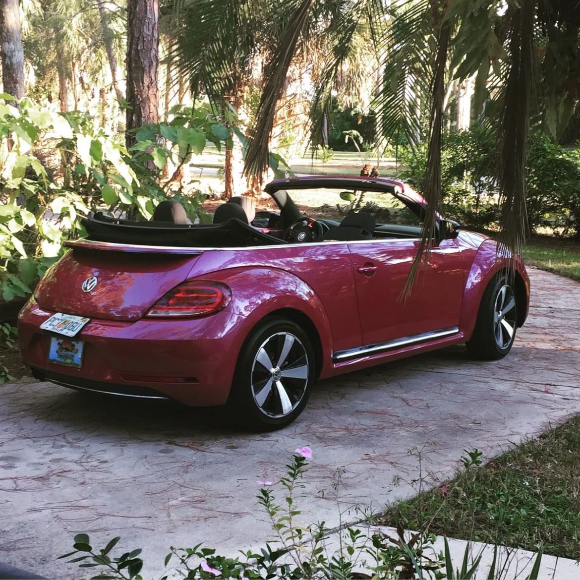 Tener un beetle - De preferencia rojo y convertible