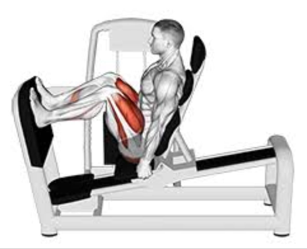 leg press - (feed wide and high)