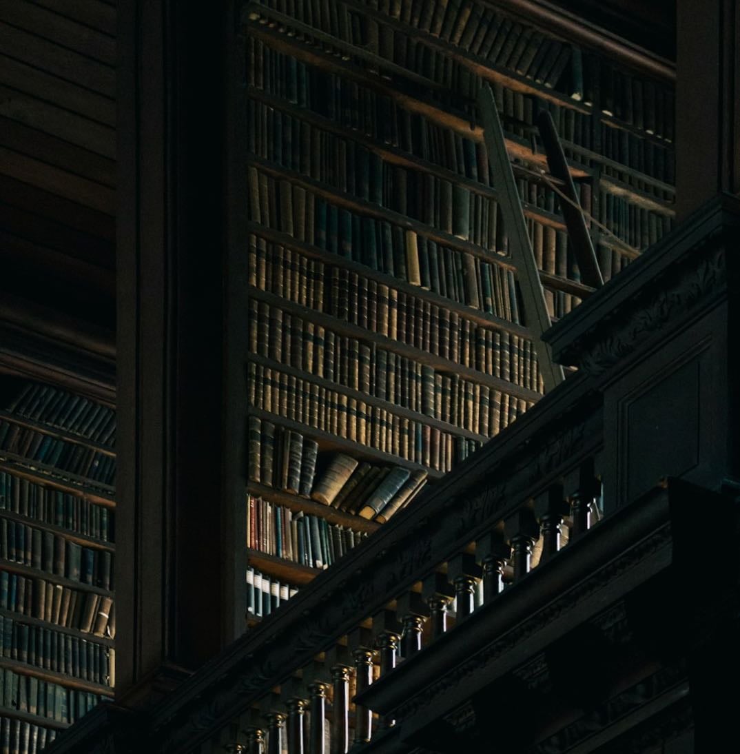 books🐉