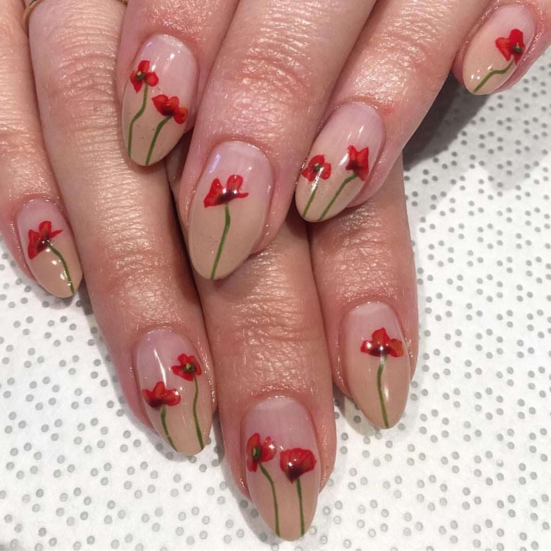꧁ꨄ❧☙❦✫꧂✿❀᪥༒