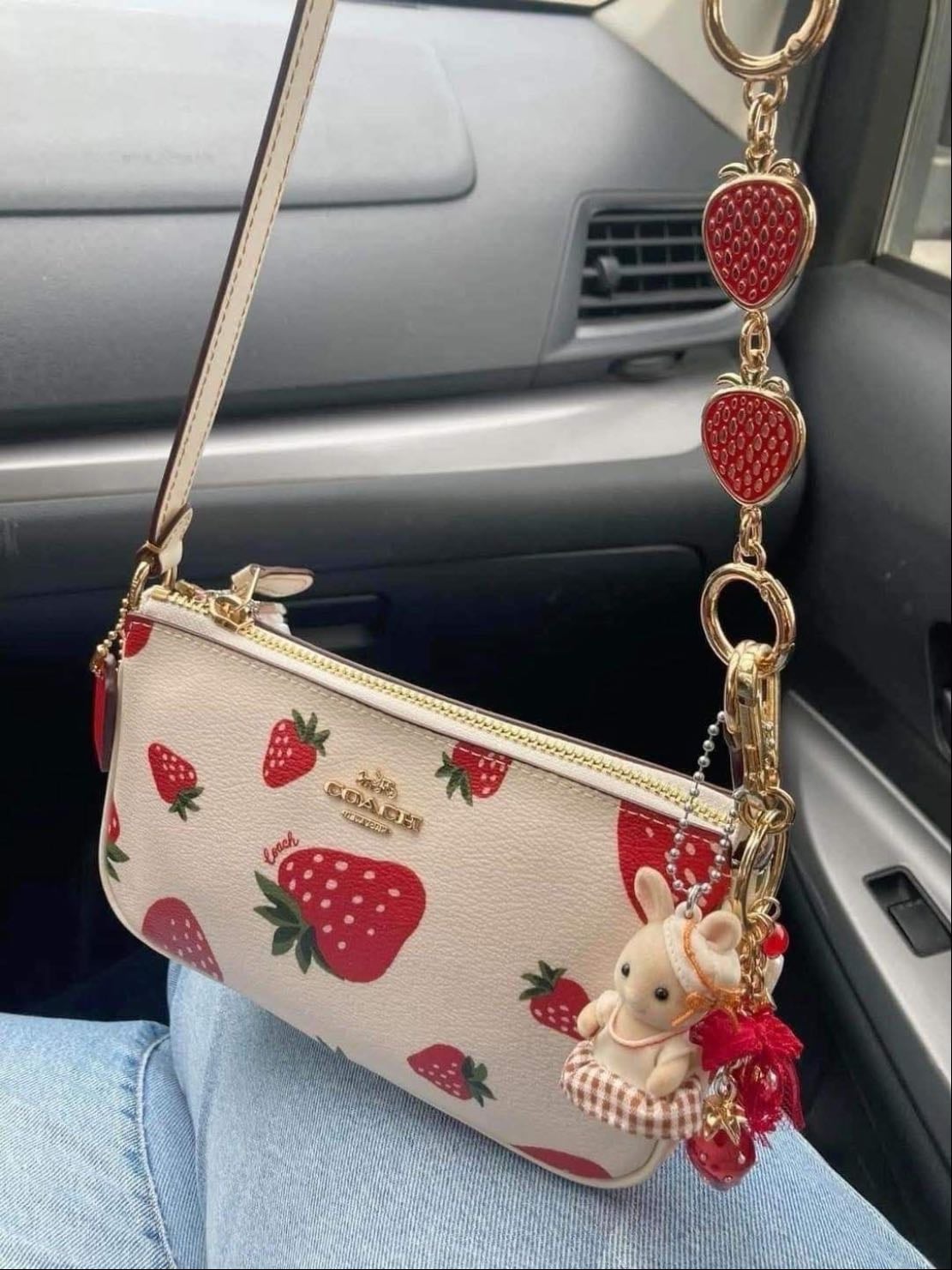 Coach bags