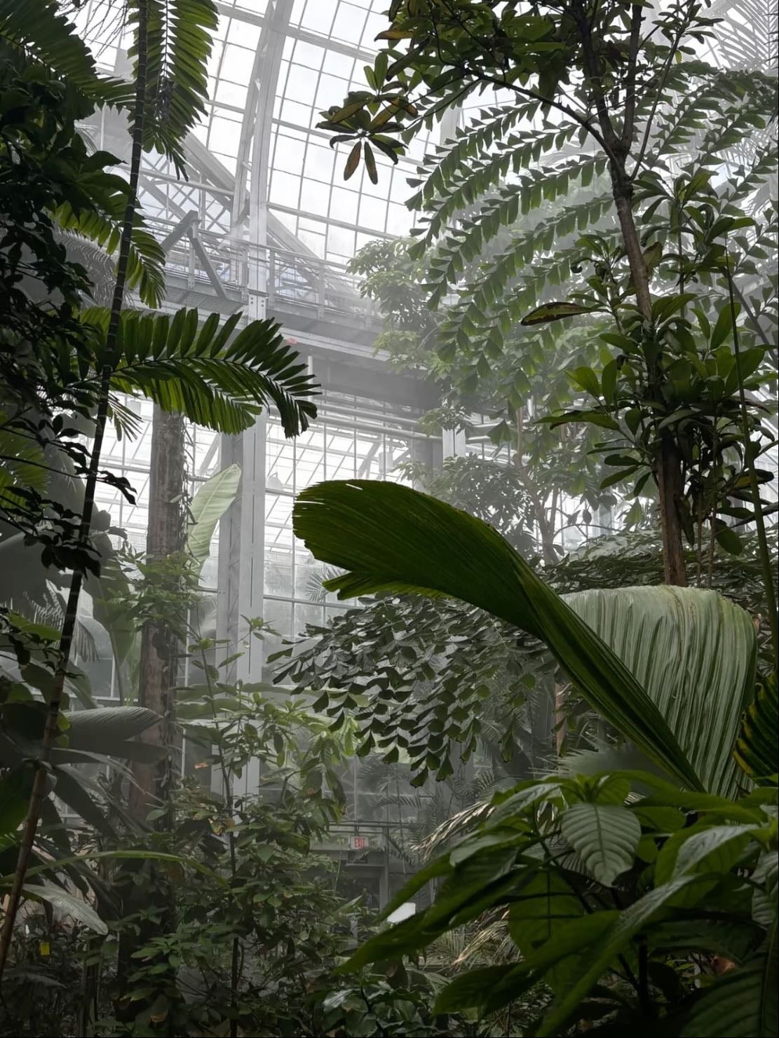 Plants