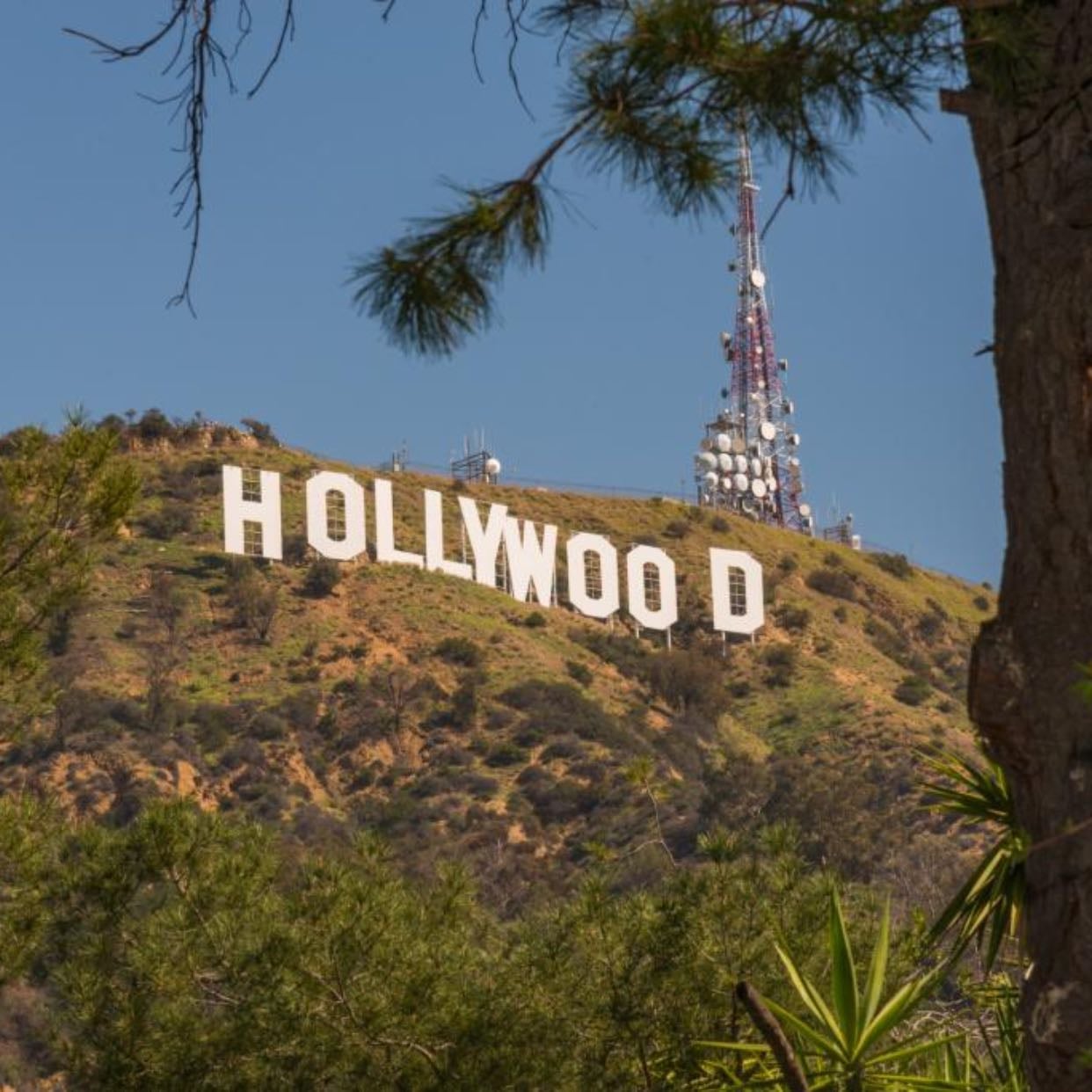 Los Angeles