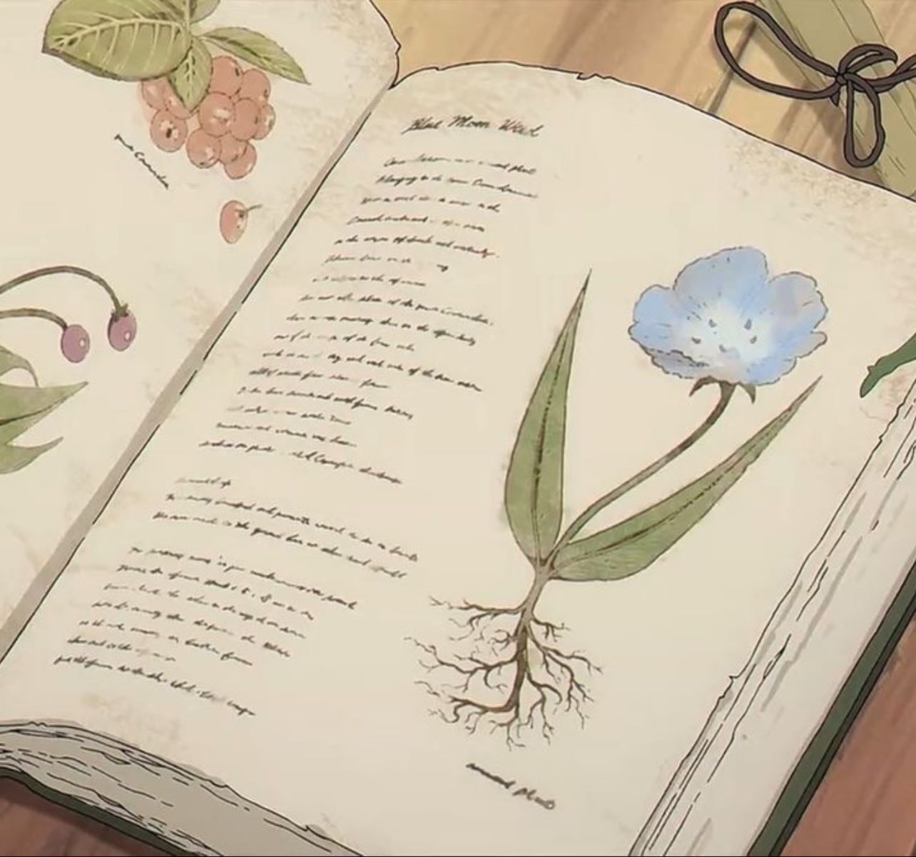 25’ Book journal🐞 - Books hypelist by 🐇