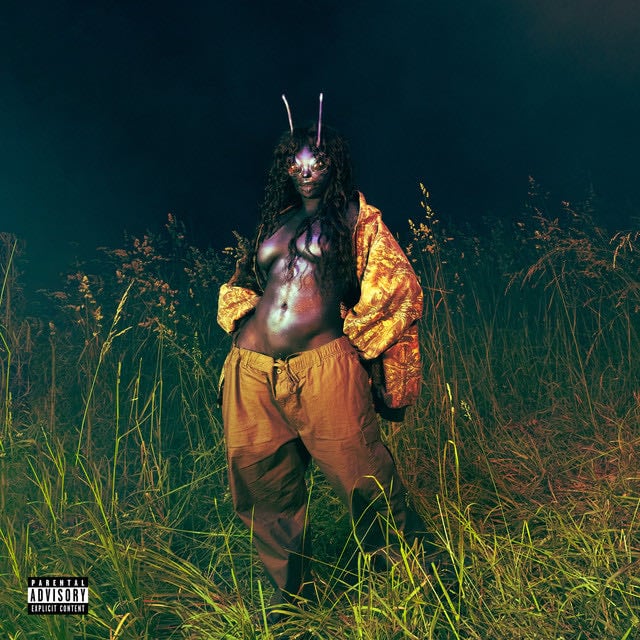 SOS Deluxe: LANA - Album 路 SZA