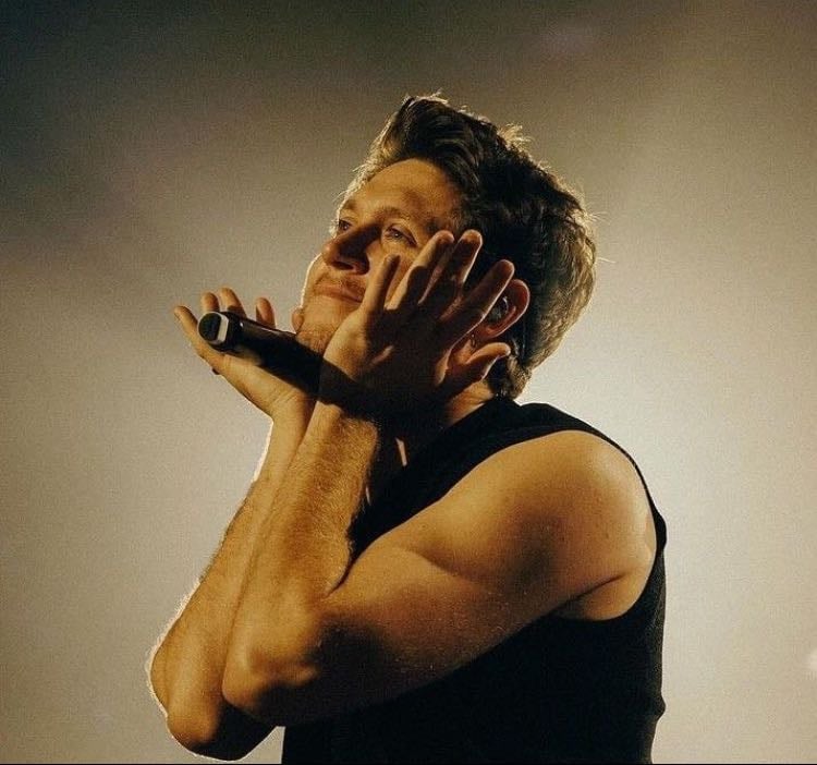 Top 5 niall songs of each album 馃帶 - Music hypelist by Norma-Jean