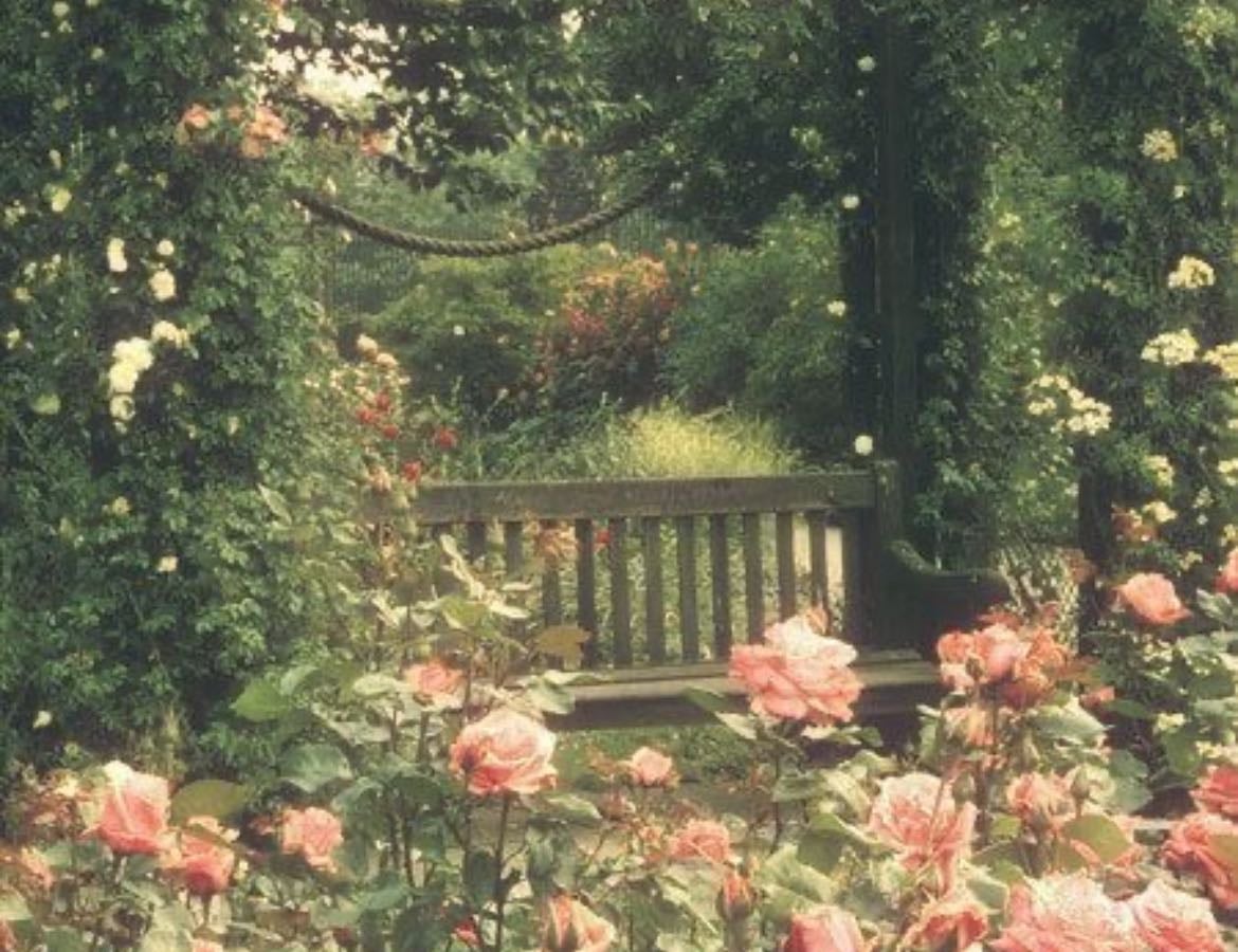 Plantas o flores favoritas