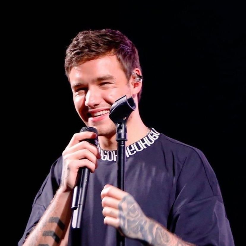 Liam payne to come back to life