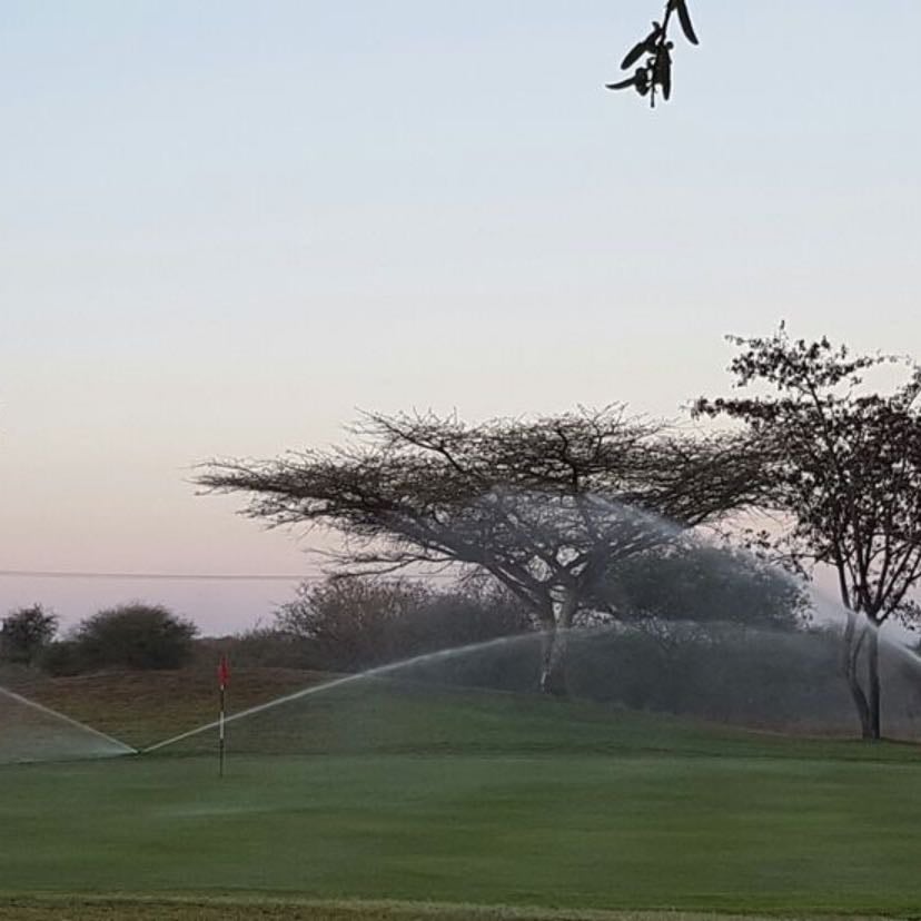 Run through sprinklers 💧