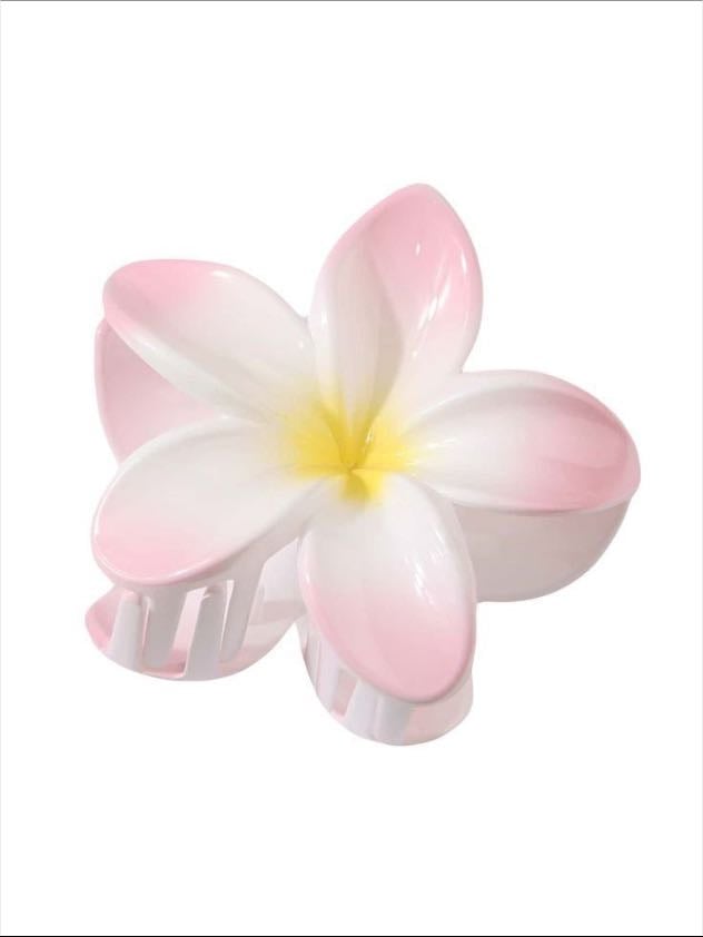 Hairclip