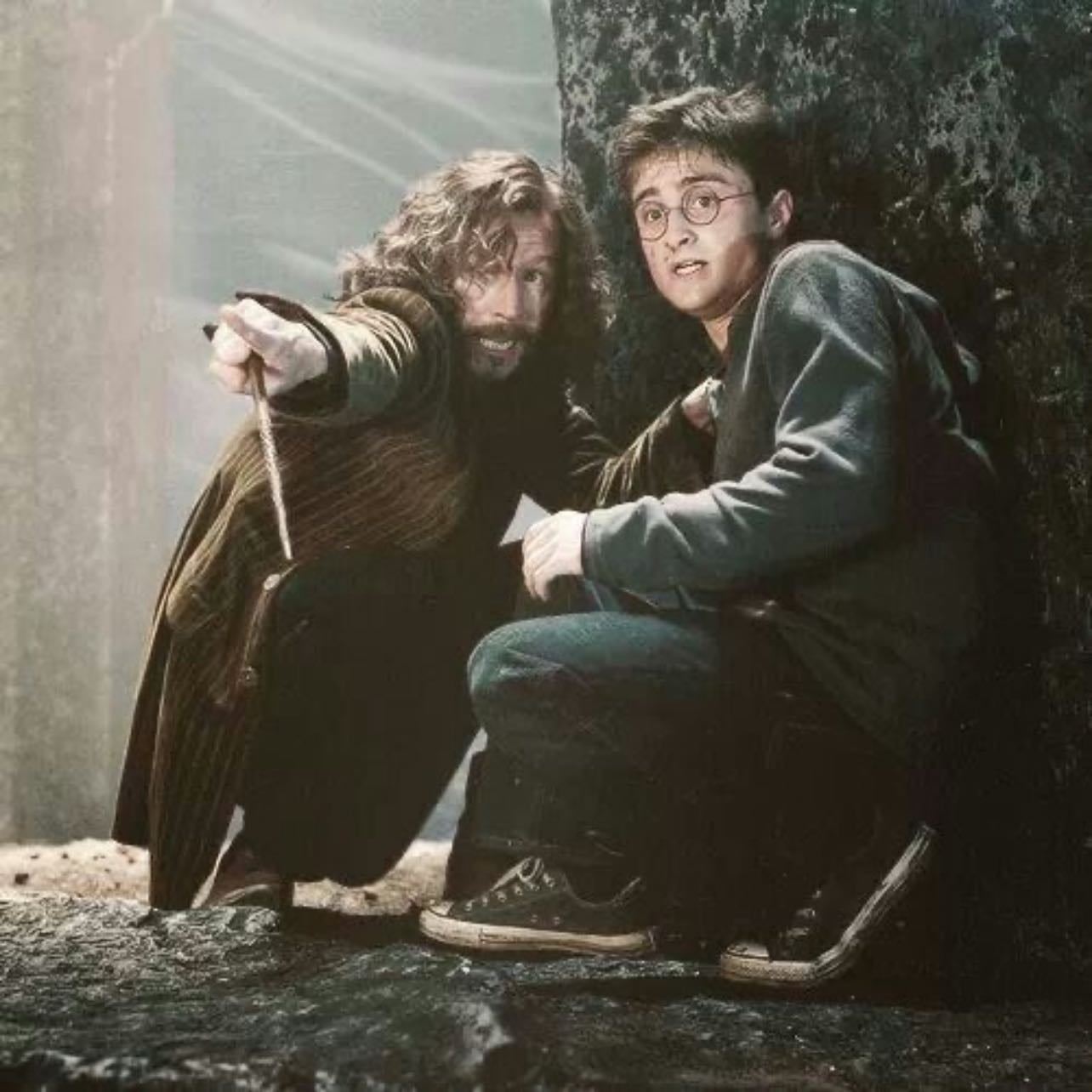 ᢉ𐭩 harry potter and the order of the phoenix - ˖ ᡣ𐭩 ⊹ ࣪ ˚₊ · 2007