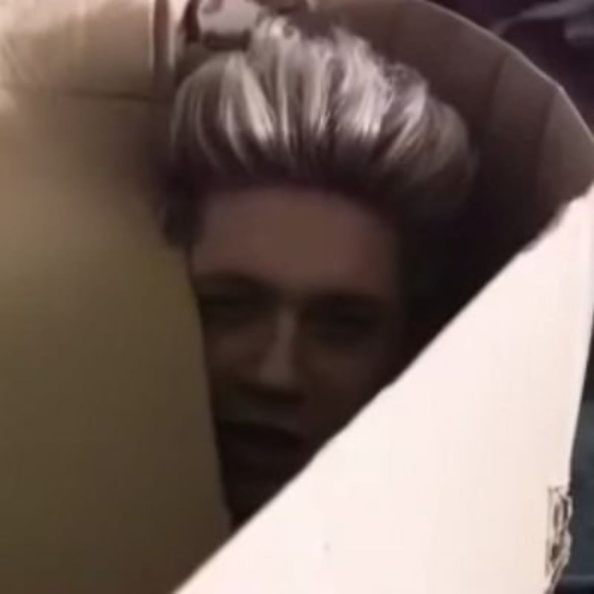 just chillin out in me box