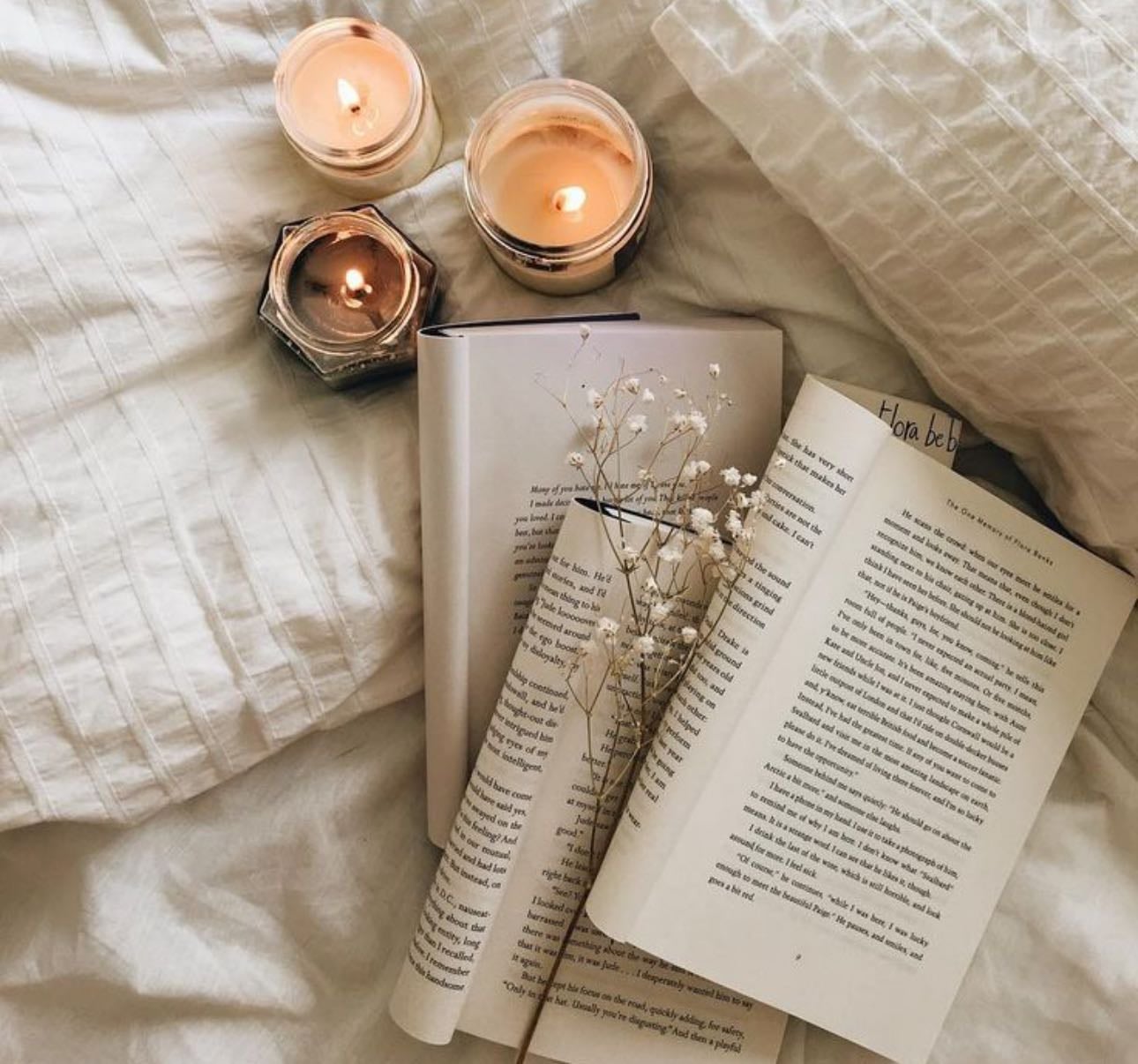 Lecture ✨ - Books hypelist by Valentine