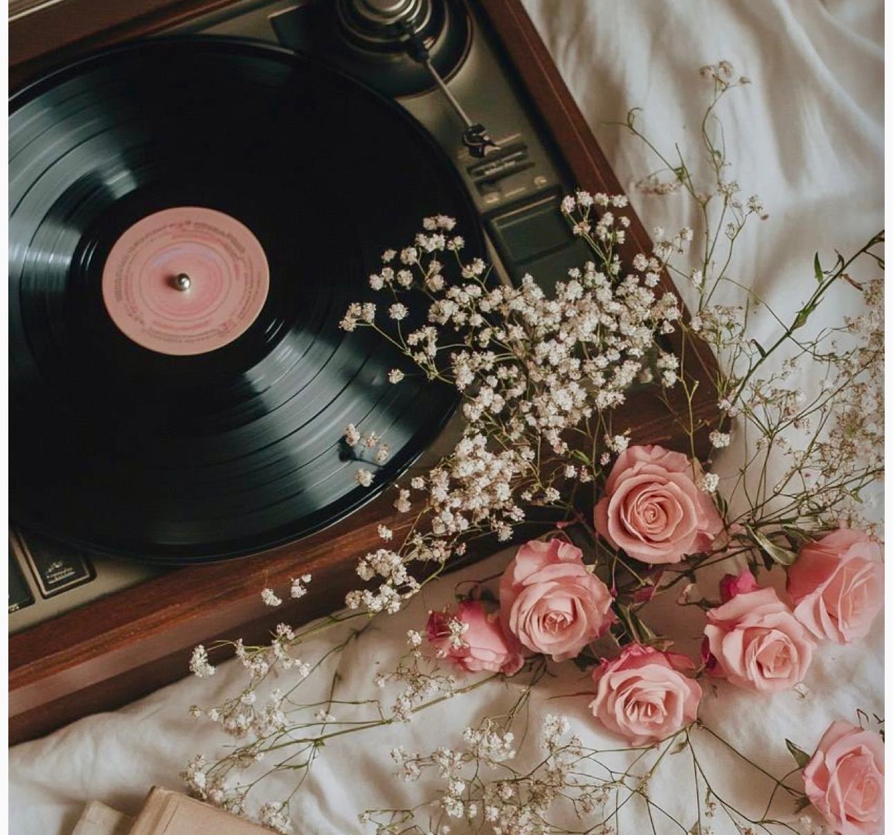 Musique 🎧
