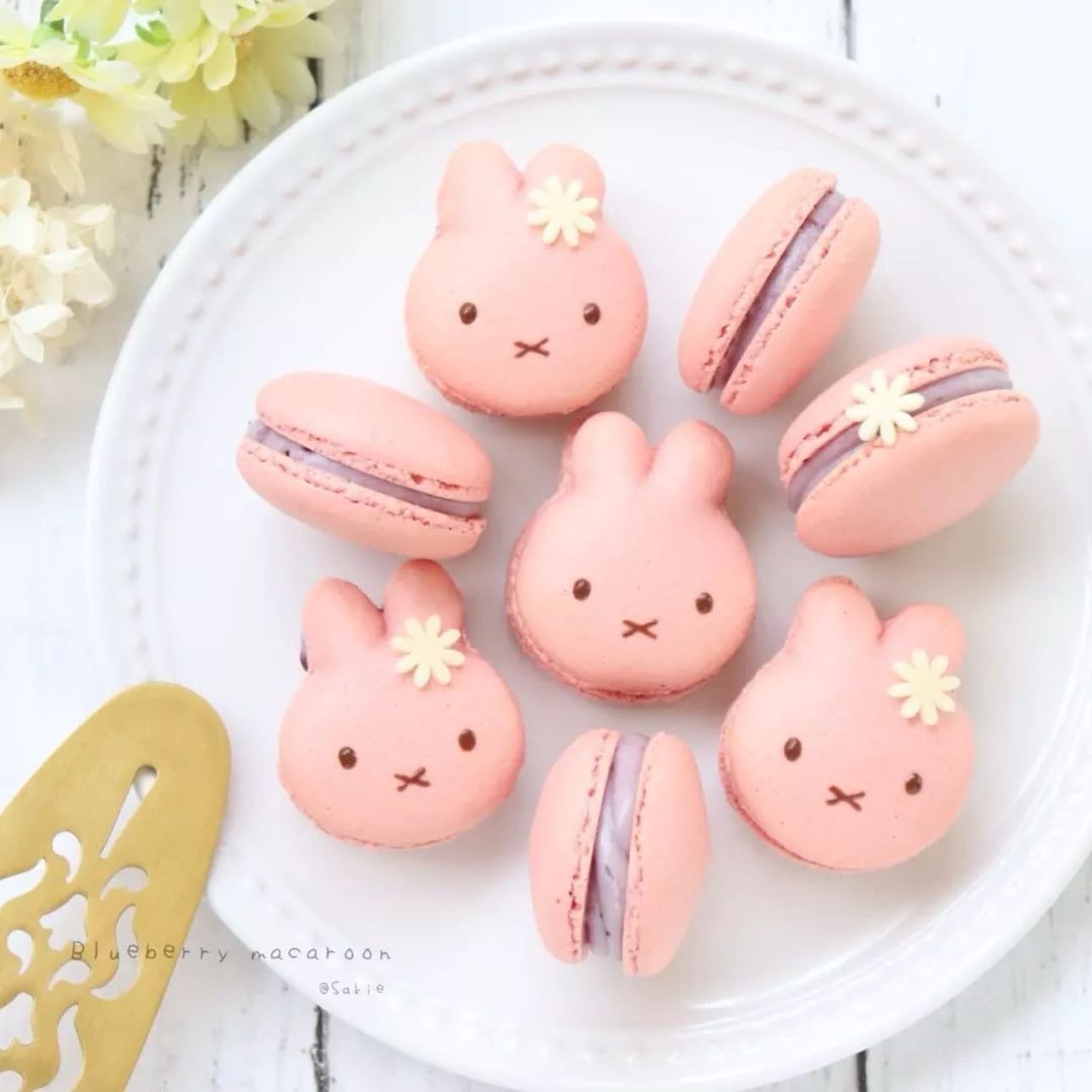 Miffy Macarons