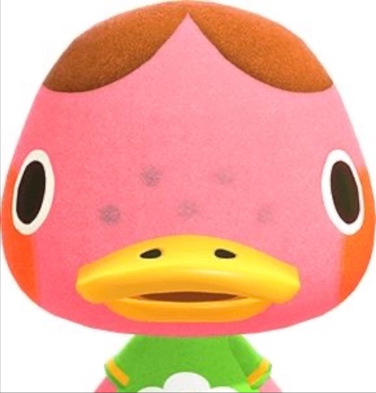 Freckles - Personality: Peppy
Species: Duck
Gender: Female
Birthday: February 19