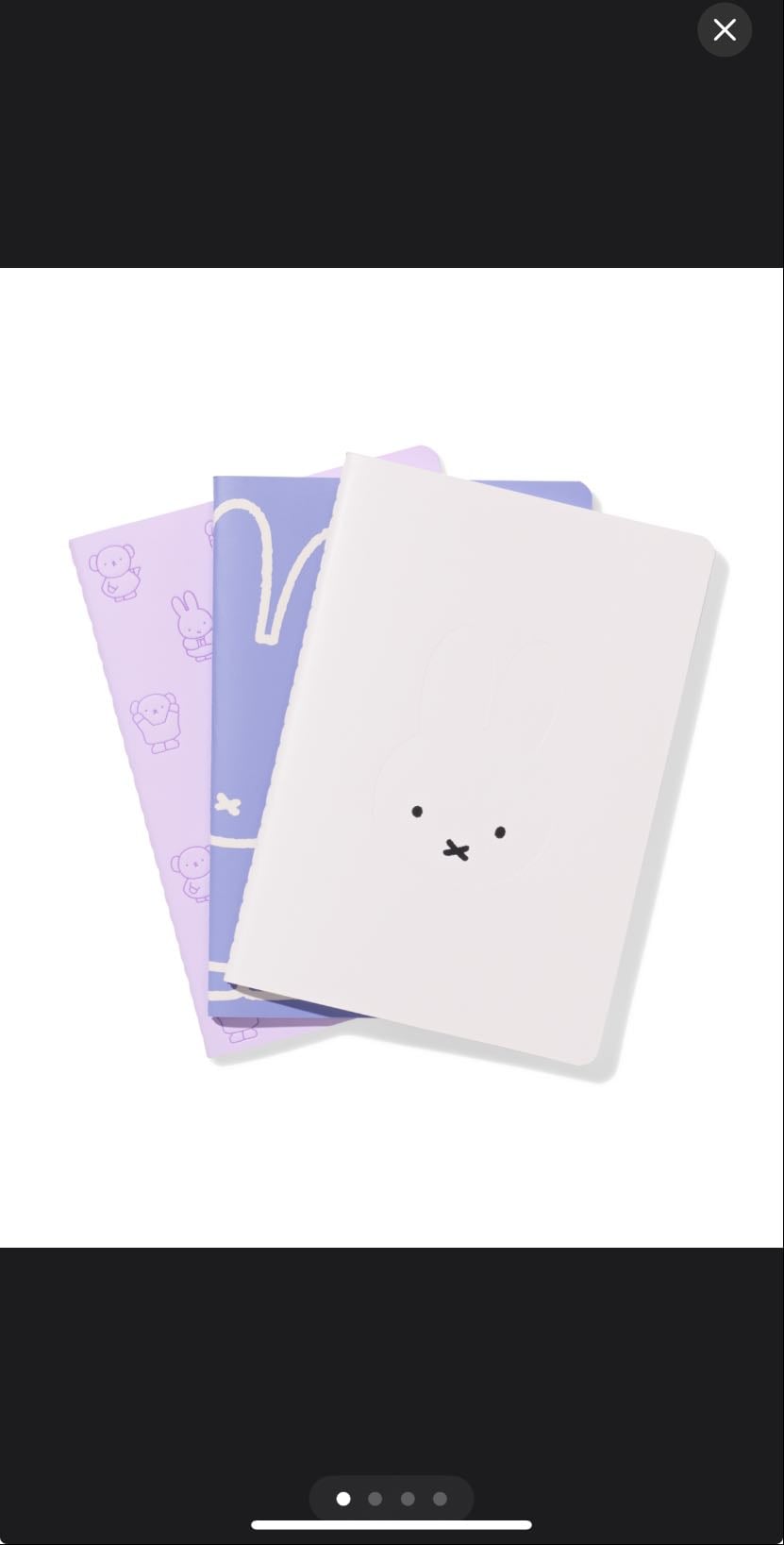 Miffy Notebook Set