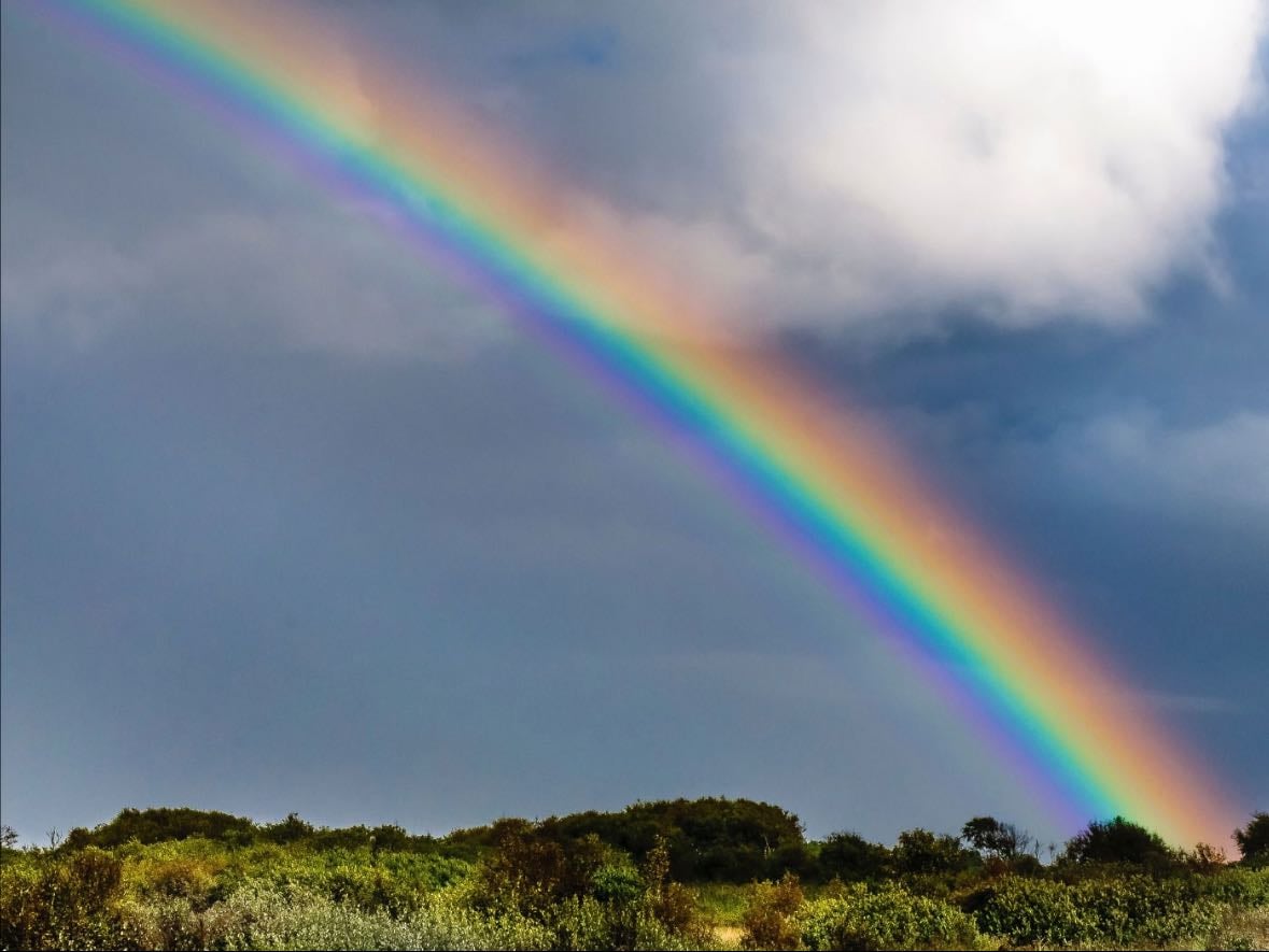 rainbow