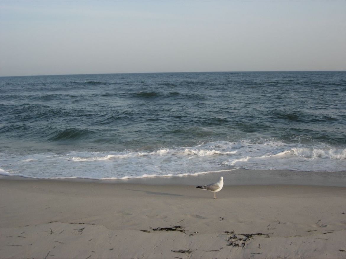 beach