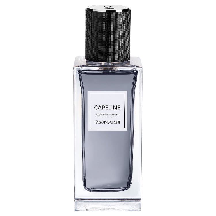 Capeline - YSL