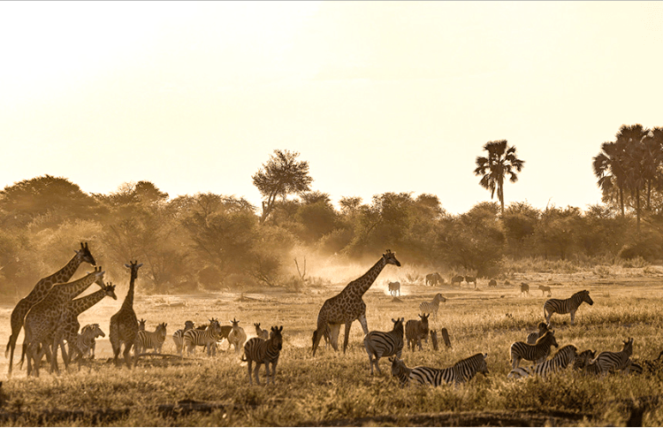 Botswana