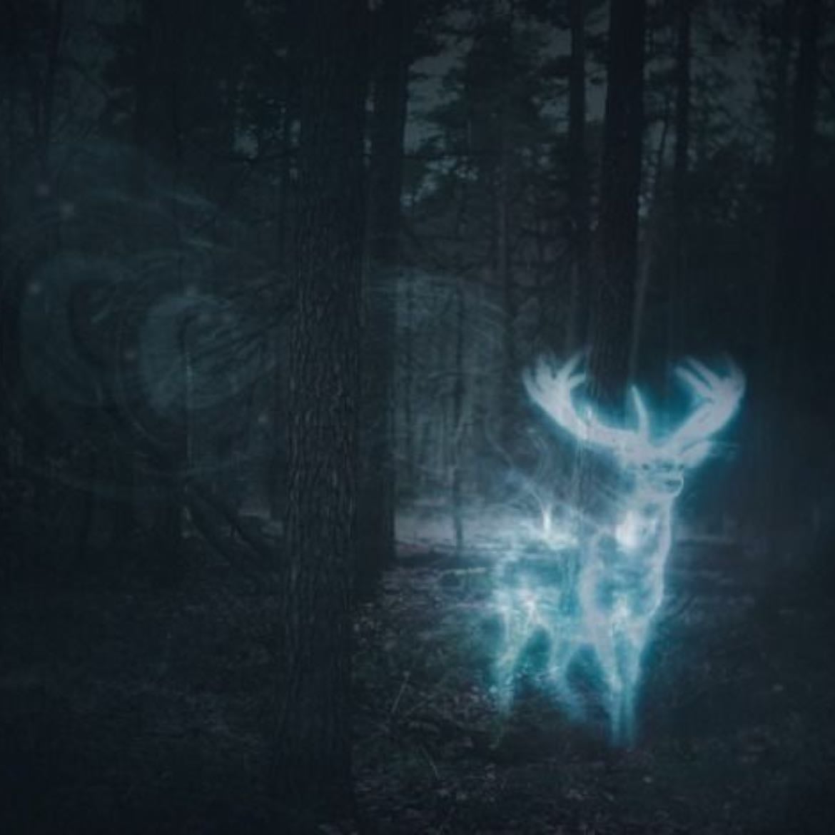 Harry Potter and the Prisoner of Azkaban - Alfonso Cuarón · 2004