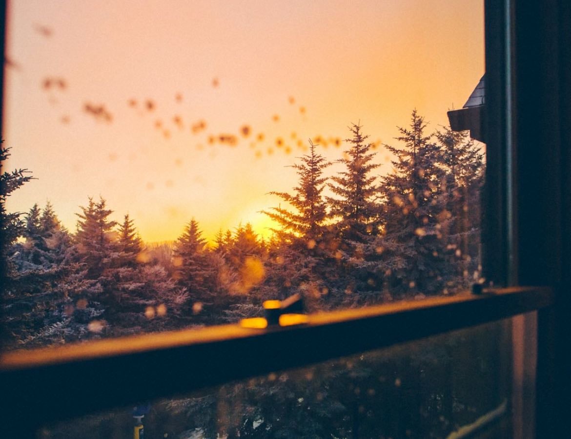My Cozy Comfort Films