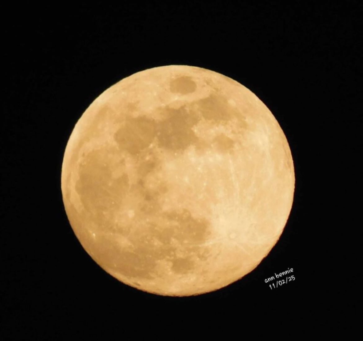 Moon -colored glasses - Nico ( Substack )