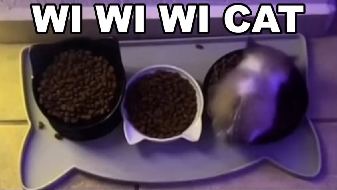 wi wi wi