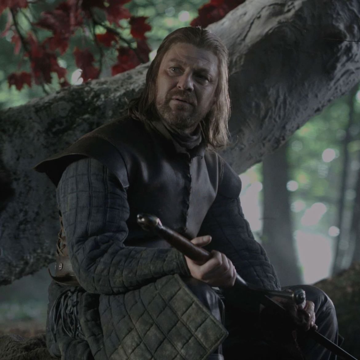 Eddard Stark - Game of Thrones