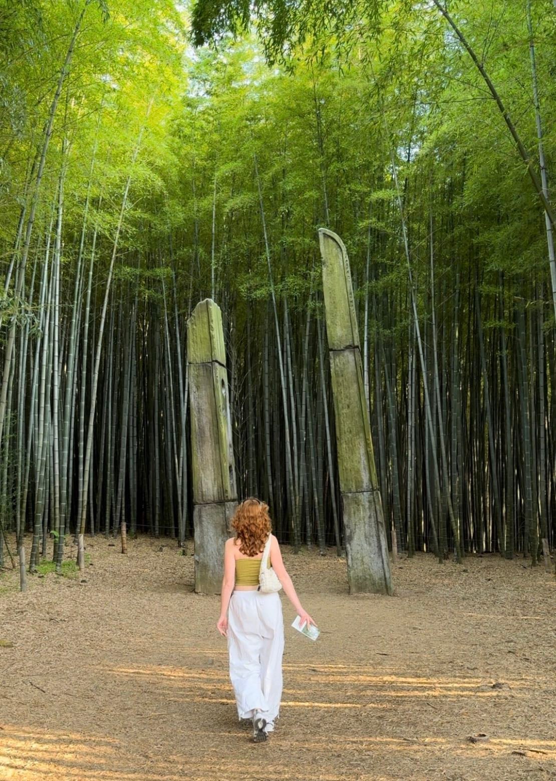 Ahopsan forest (bamboo forest)