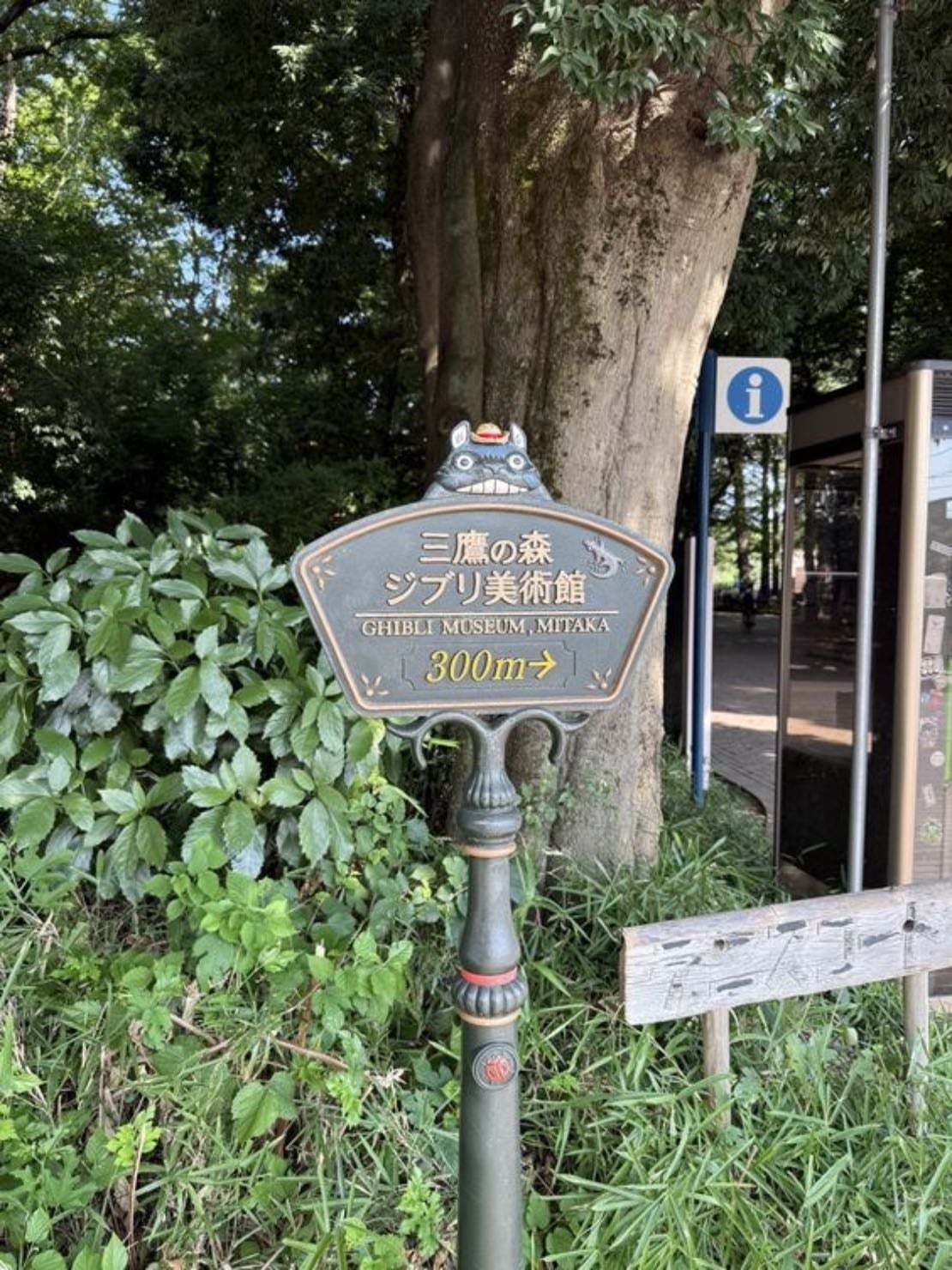 Inokashira park (near ghibli museum)