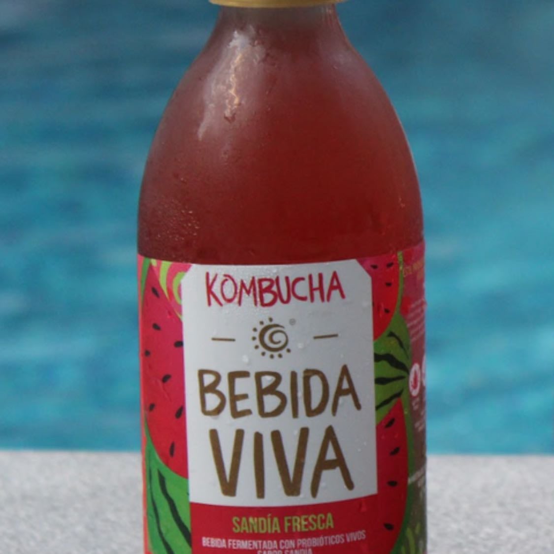 Kombucha - Bebida viba