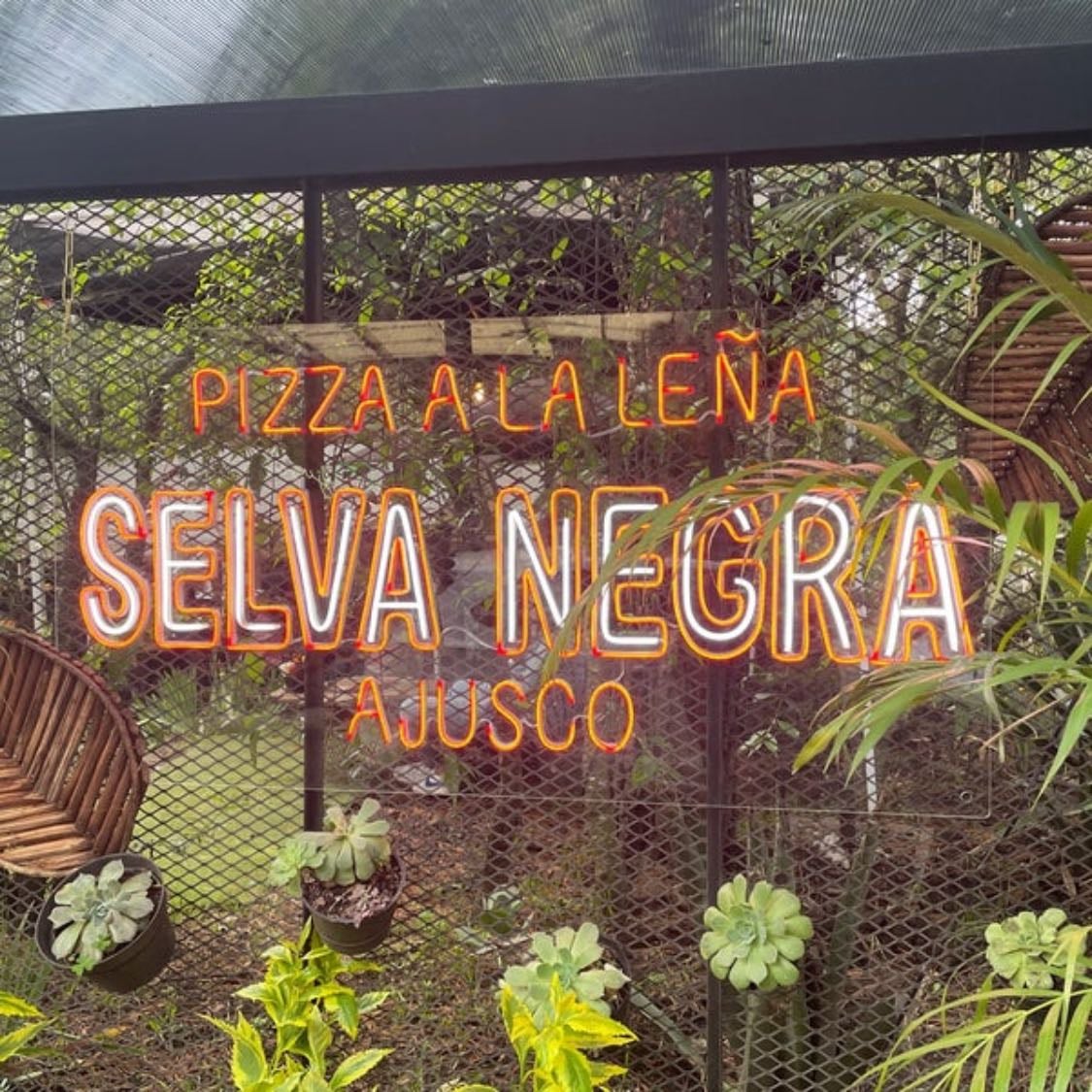 Selva negra Ajusco - Pizza