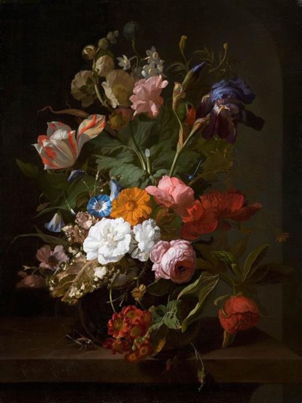 Flower in the glass vase with a cricket in a niche-Rachel Ruysch