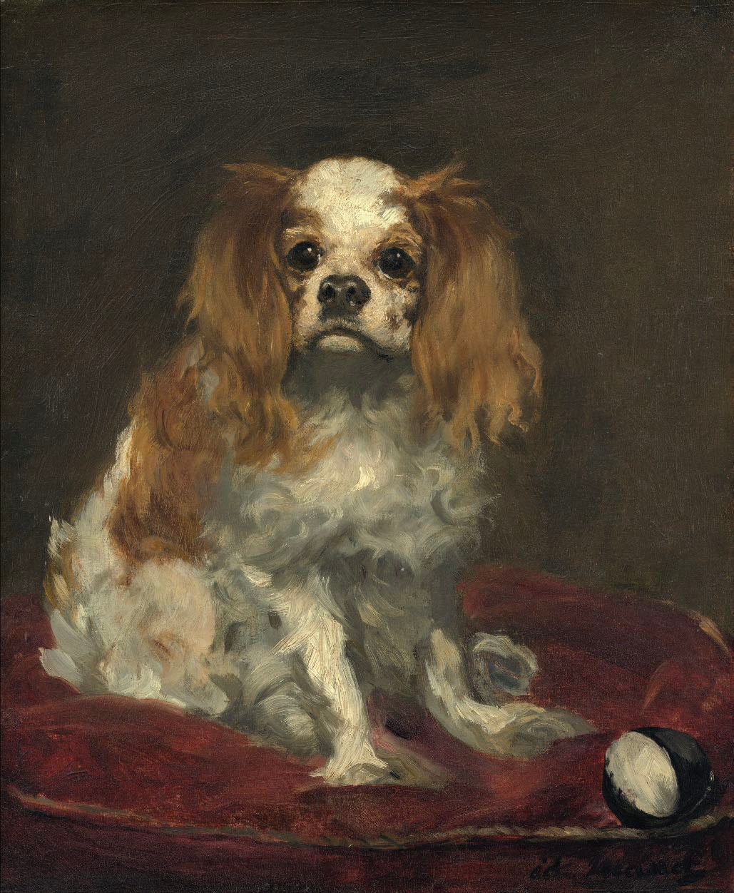 A king Charles spaniel-Edouard Manet
