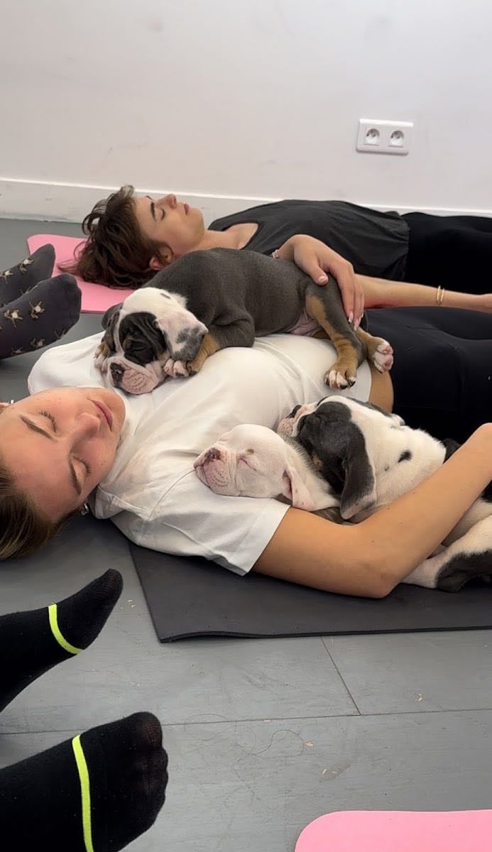 Puppy Yoga Mx
