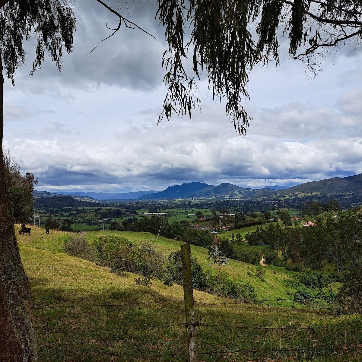 Rescatarme Bogotá Fundación