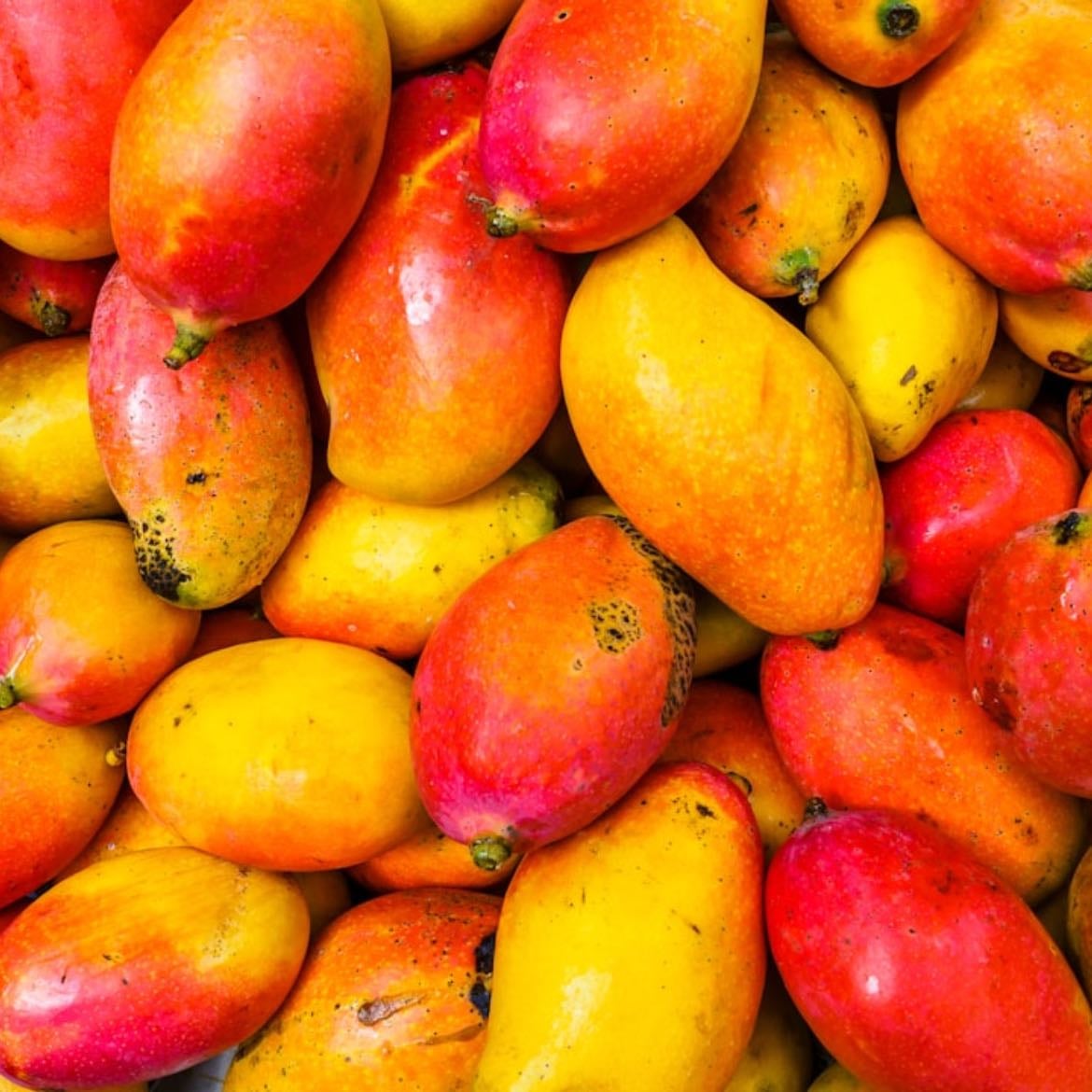 Mango - Gracias por existir