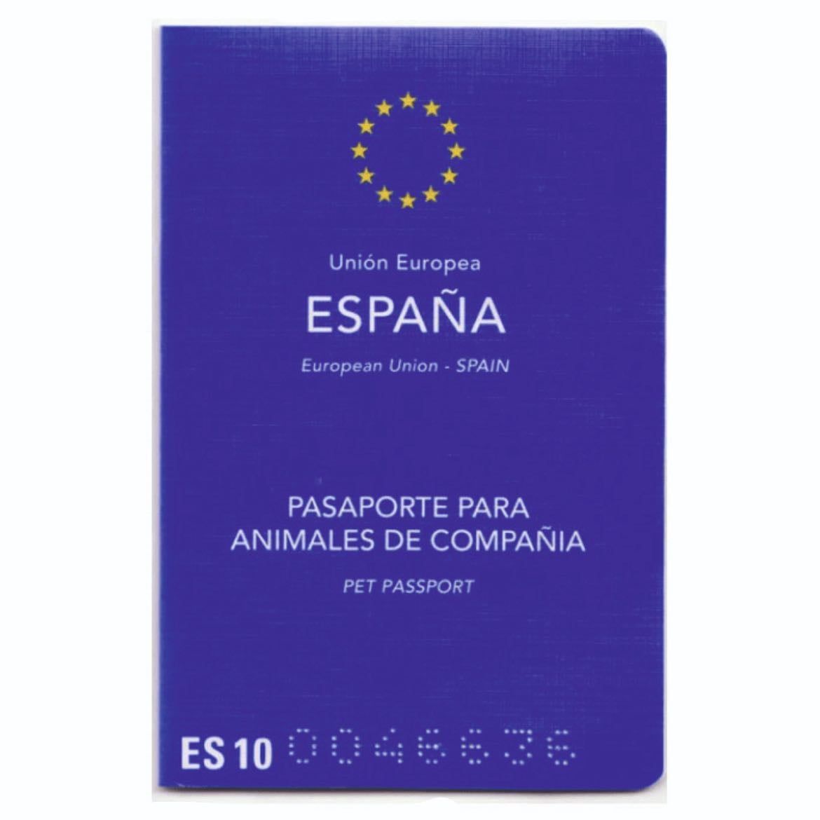 Pasaporte