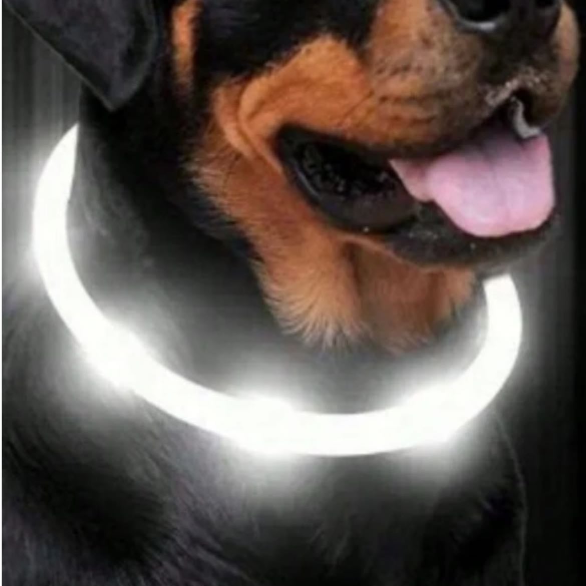 Collar de luz
